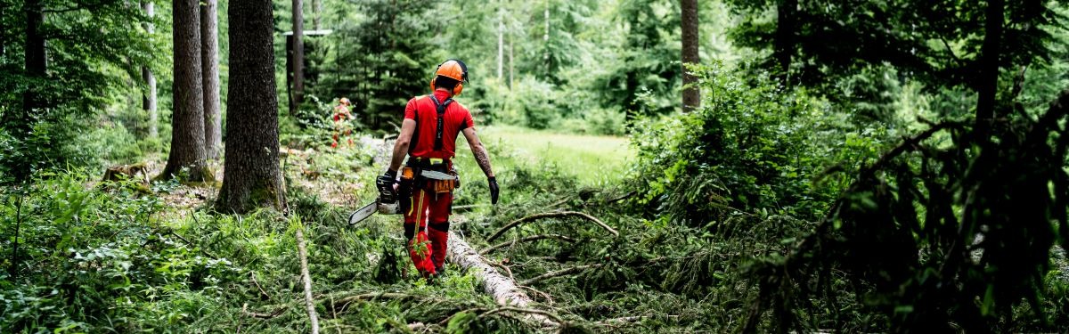 Natur & Erzeugung » Arbeitsschutzkleidung | KÜBLER Workwear